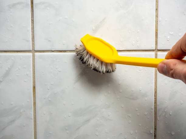 Throop, PA Mold Removal Company