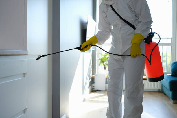 Best Crawl Space Mold Removal  in Throop, PA