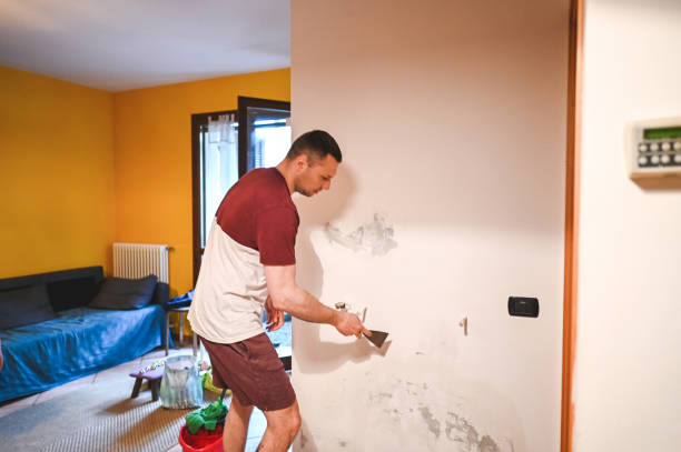 Mold Testing and Removal in Throop, PA