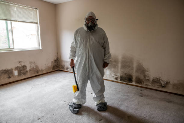Best Mold Removal Near Me  in Throop, PA