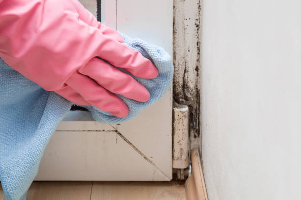 Best Water Damage Restoration  in Throop, PA
